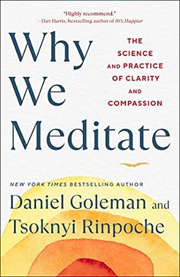 Why We Meditate: The Science And Practice Of Clarity And Compassion-..