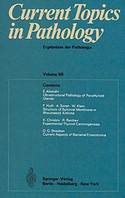 Current Topics In Pathology/Ergebnisse Der Pathologie-..