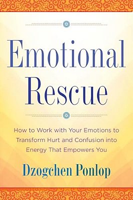 Emotional Rescue: How To Work With Your Emotions To Transform Hurt And Confusion Into Energy That Empowers You-..