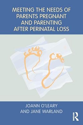 Meeting The Needs Of Parents Pregnant And Parenting After Perinatal Loss-..