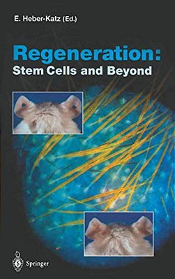 Regeneration: Stem Cells And Beyond-..
