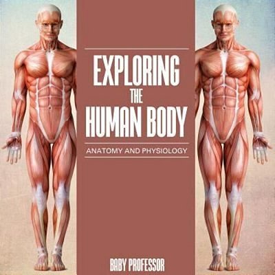 Exploring The Human Body Anatomy And Physiology-..