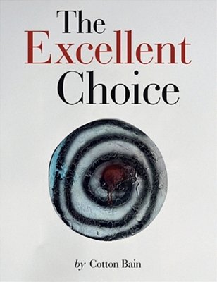 The Excellent Choice-..