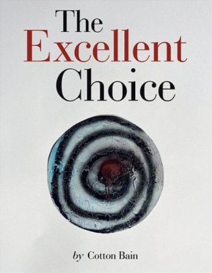 The Excellent Choice-..