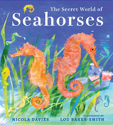 The Secret World Of Seahorses-..