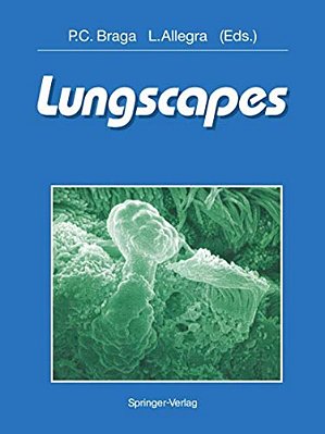 Lungscapes-..