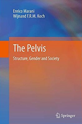 The Pelvis: Structure, Gender And Society-..
