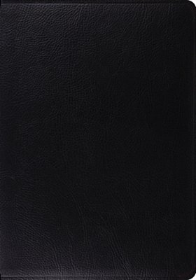 Study Bible-Esv-..