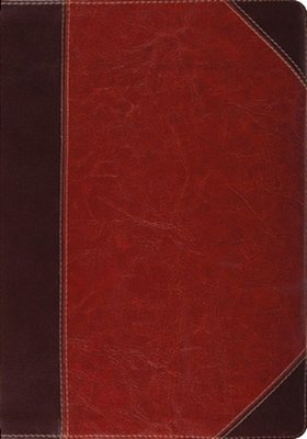 Study Bible-Esv-portfolio Design-..
