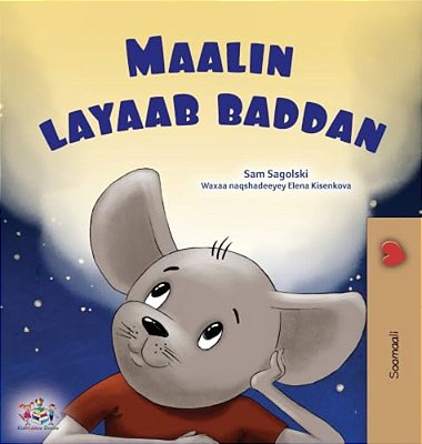 A Wonderful Day (Somali Children's Book)-..