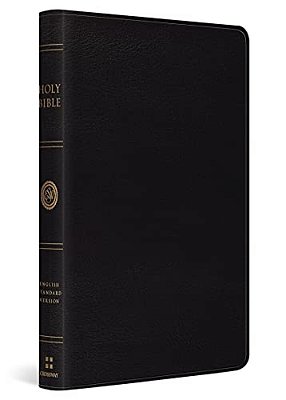 Esv Thinline Bible, Red Letter (Bonded Leather, Black)-..