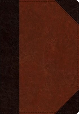 Esv Large Print Wide Margin Bible (Trutone, Brown/Cordovan, Portfolio Design)-..