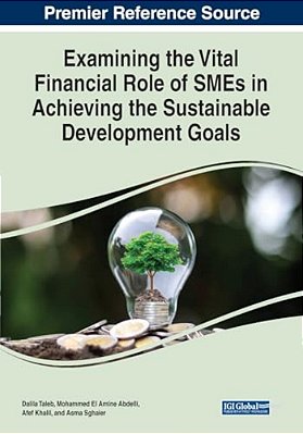 Examining The Vital Financial Role Of Smes In Achieving The Sustainable Development Goals-..