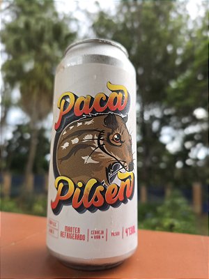 Paca Pilsen 12 latas