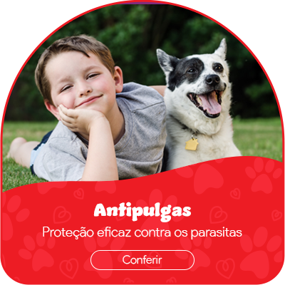 Mini banner antipulgas