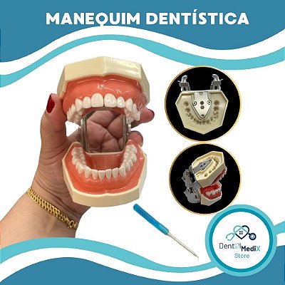 MANEQUIM DENTÍSTICA  ARTICULÁVEL - MOLDE ODONTOLÓGICO 28 DENTES REMOVÍVEIS - ODONTO