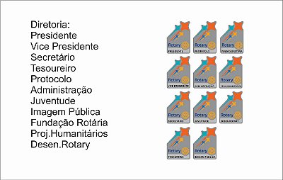 PINS DIRETORIA LEMA 2024-25