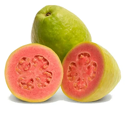 GOIABA (Psidium guajava)