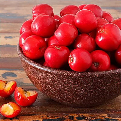 ACEROLA (Malpighia emarginata) - Muda com até 60 cm