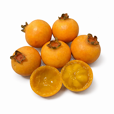 GABIROBA PAULISTA (Campomanesia xanthocarpa) - Muda com até 60 cm