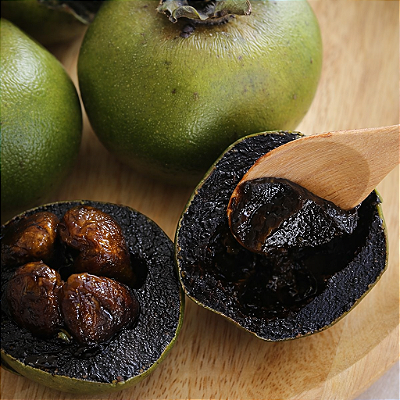 SAPOTA PRETA ou PUDIM DE CHOCOLATE (Diospyros nigra) - Muda com até 80 cm