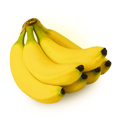 BANANA NANICA (Musa ssp.) - Muda com até 70 cm