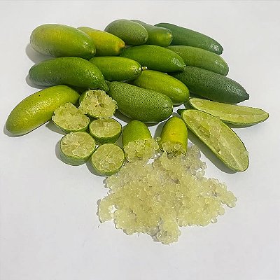 LIMÃO CAVIAR (Citrus australasica) - Muda Enxertada com até 1,20m