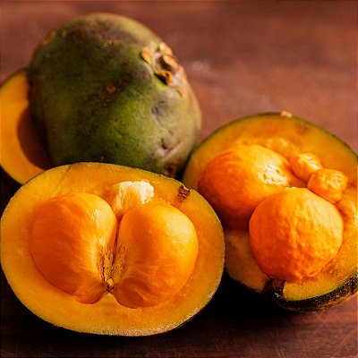 PEQUI (Caryocar brasiliense) - Muda com até 60 cm