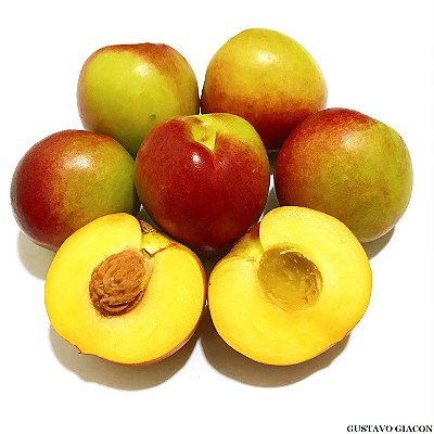 NECTARINA (Prunus persica var. nucipersica) - Muda enxertada com até 1 metro