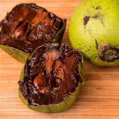 SAPOTA PRETA ALPORQUIA (Diospyros nigra) - Muda com até 80 cm