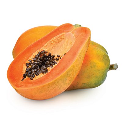 MAMÃO PAPAYA (Carica Papaya) - Muda com até 60 cm