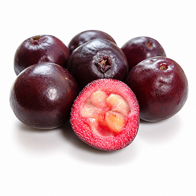 ARAÇÁ ROXO ou UNA (Psidium myrtoides) - Muda com até 80 cm