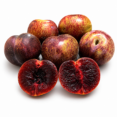 AMEIXA ROXA CENTENÁRIA (Prunus salicina) - Muda Enxertada com até 1,20m