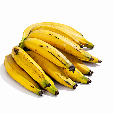 BANANA DA TERRA ANÃ BRS (Musa spp) - Muda com até 1 metro