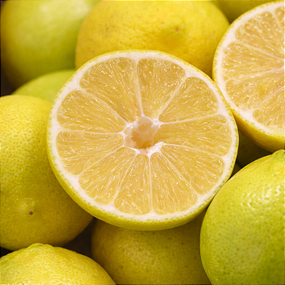 LIMA DA PÉRSIA (Citrus limettioides) - Muda Enxertada com até 1 metro