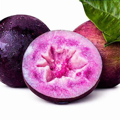 ABIU ROXO ou CAINITO (Chrysophyllum cainito) - Muda com até 70 cm