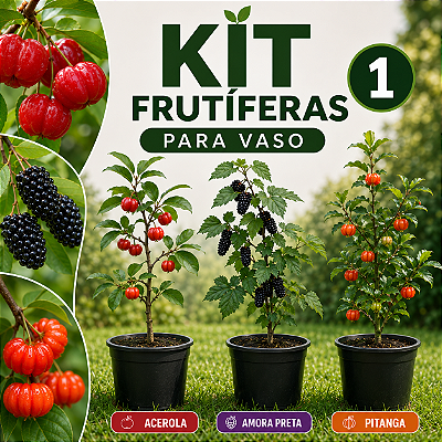 KIT 1 FRUTÍFERAS PARA VASO - Amora Preta, Acerola, Pitanga