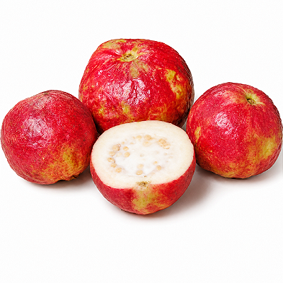GOIABA MAÇÃ (Psidium guajava "maple") - Muda com 80 cm