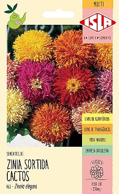 ZINNIA SORTIDA CACTOS - Sementes