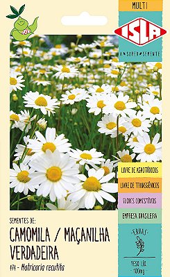 CAMOMILA - Sementes