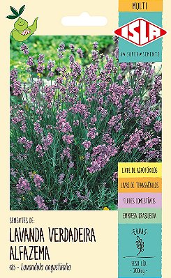 LAVANDA VERDADEIRA ALFAZEMA - Sementes