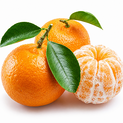 MEXERICA ou TANGERINA RIO CARIOQUINHA (Citrus deliciosa) - Muda Enxertada com até 1 metro