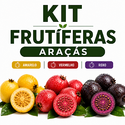 KIT FRUTÍFERAS - ARAÇÁ - Amarelo, Vermelho e Roxo