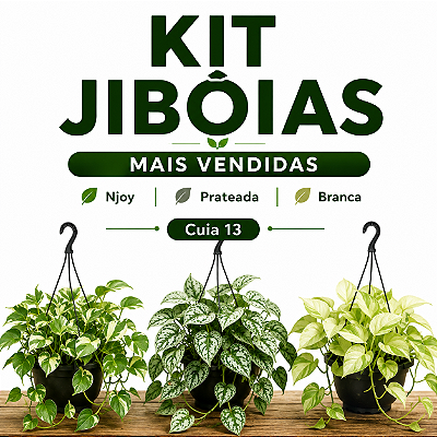 KIT JIBÓIAS MAIS VENDIDAS - Njoy, Prateada, Branca - Cuia 13