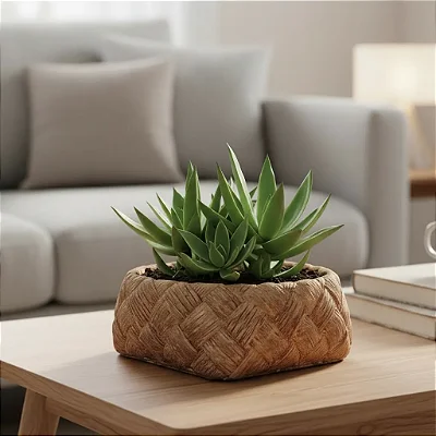 Cachepo Vaso de Planta Decorativo Raso Berçario de Planta 18cm
