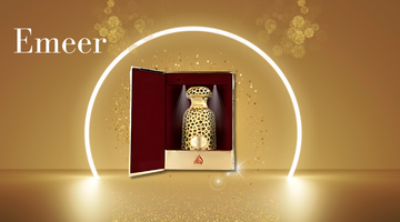 mini banner dubai 2
