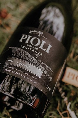 Pioli Barracão Incitante Syrah - SAFRA 2020