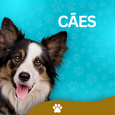Cães
