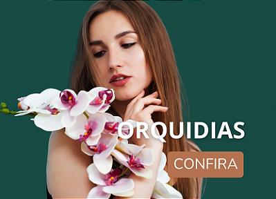 Orquidias Confira