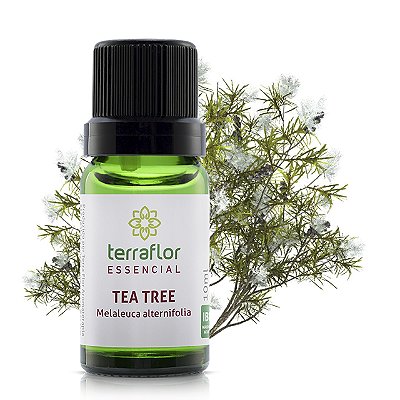Óleo essencial Tea Tree 10ml - Terraflor